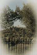Distant Castle Print