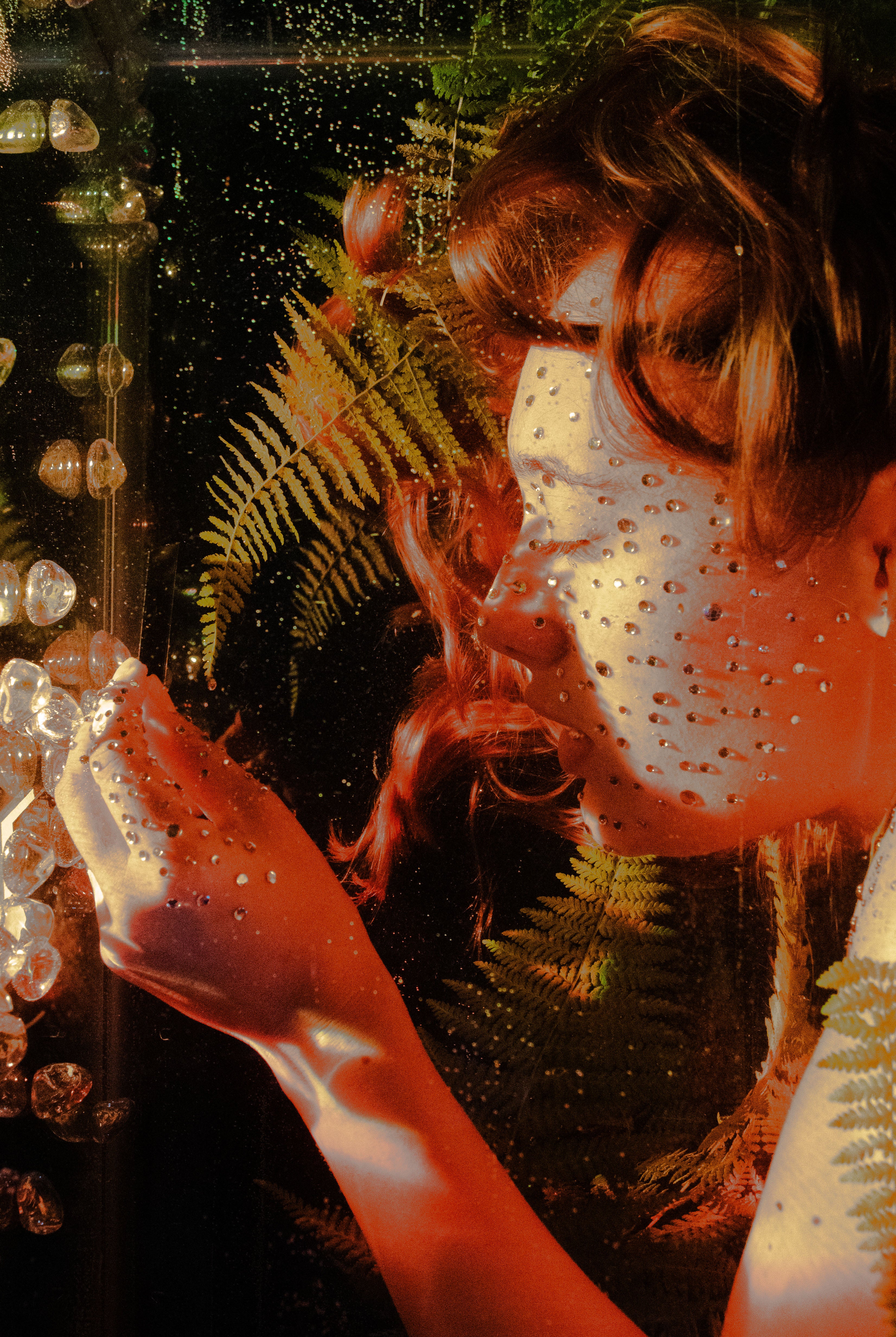Fish Tank Daydreams Print